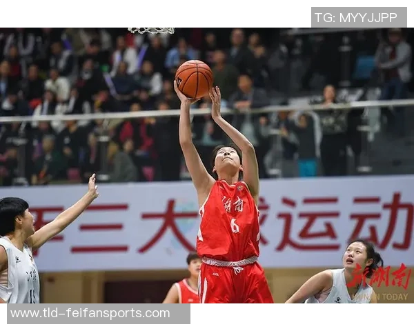 三大球运动会篮球项目看点：职业青训队PK学生军的激烈较量